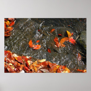 Affiches Feuilles d'automne dans la cascade I Photographie