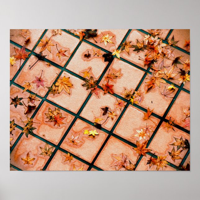 Affiches Feuilles d'érable japonais sur sol carrelé (Devant)