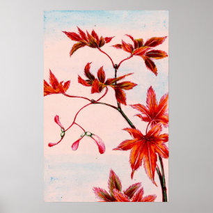 Affiches Feuilles et semences de l'érable 1870