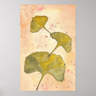 Affiches Feuilles Ginkgo