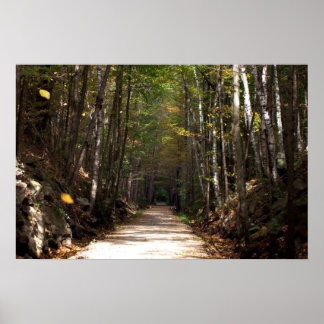 Affiches Feuilles maladroits