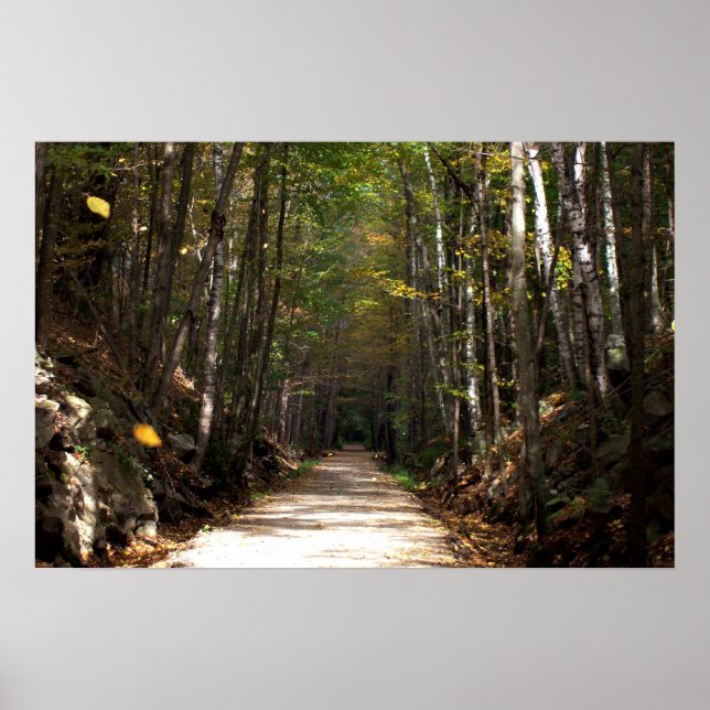 Affiches Feuilles maladroits (Devant)