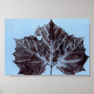 Affiches Feuilles Nature Imprimer Mini-Poster