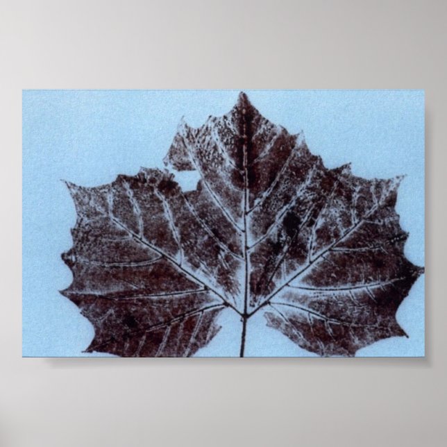 Affiches Feuilles Nature Imprimer Mini-Poster (Devant)