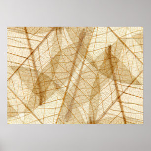 Affiches Feuilles rustiques en dentelle