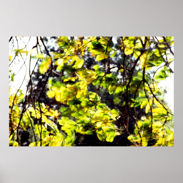 Affiches Feuilles soufflent dans le vent (Devant)