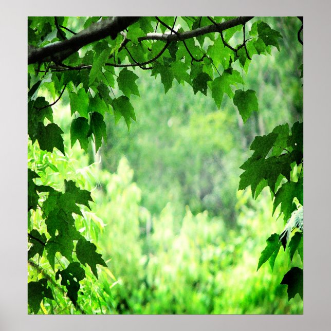 Affiches Feuilles verts (Devant)