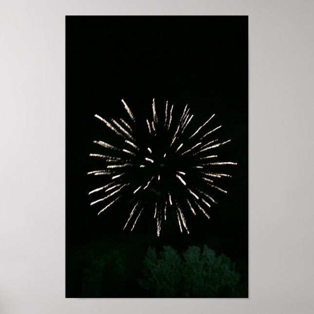 Affiches Feux d'artifice avec arbre (Devant)