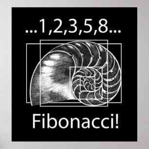 Affiches Fibonacci