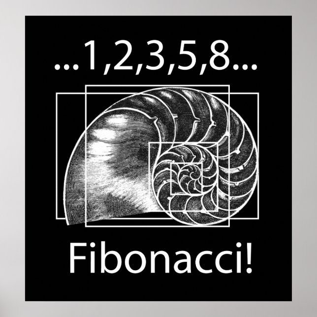 Affiches Fibonacci (Devant)