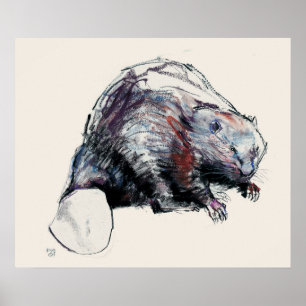 Affiches Fibre 2001 de roulette