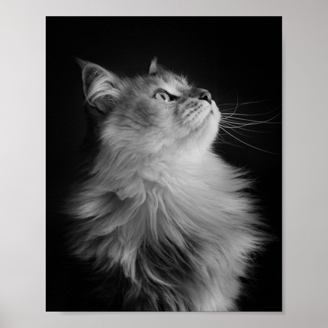 Affiches Fier (Devant)