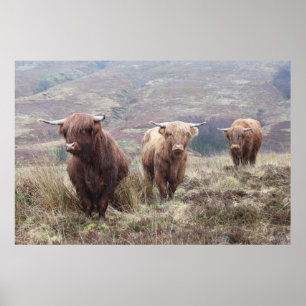 Affiches Fier D'Être Écossais !