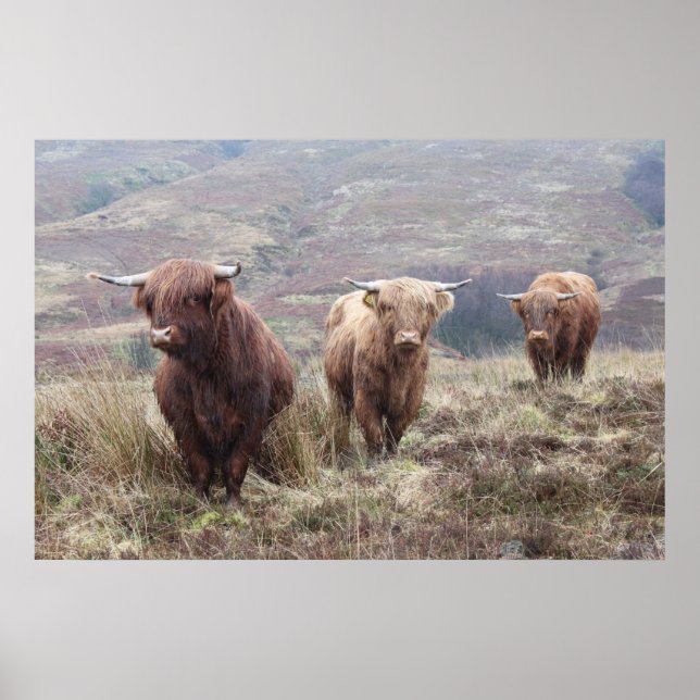 Affiches Fier D'Être Écossais ! (Devant)