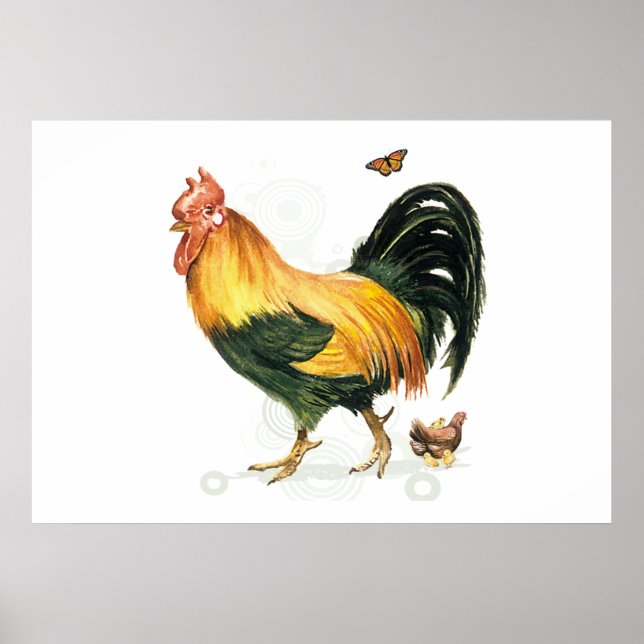 Affiches Fière coq avec poules et poulets. (Devant)