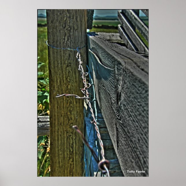 Affiches Fil Barbe (Devant)