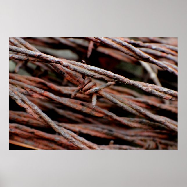 Affiches Fil Barbe (Devant)