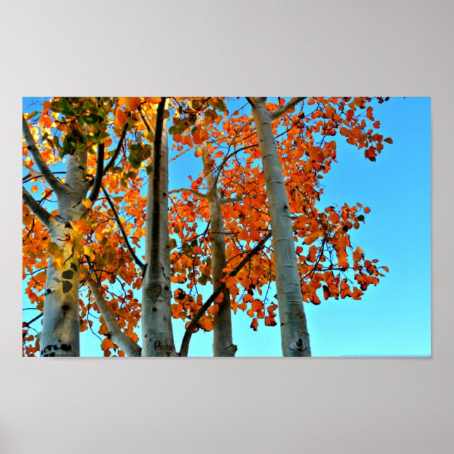 Affiches Fin automne après-midi (Devant)