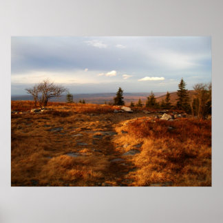 Affiches Fin de l'après-midi sur les Sods