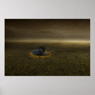 Affiches Fin d'un but 2013