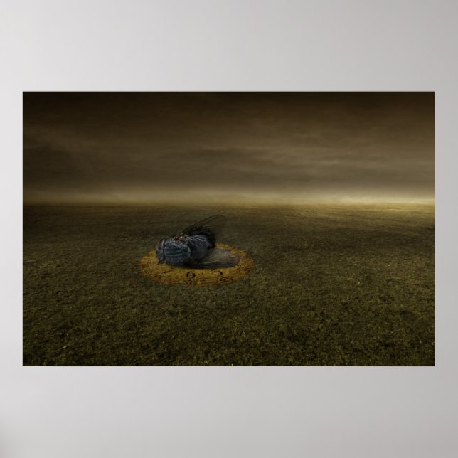 Affiches Fin d'un objectif 2013 (Devant)