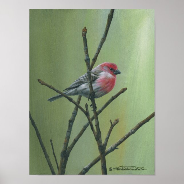 Affiches Finch Maison (Devant)