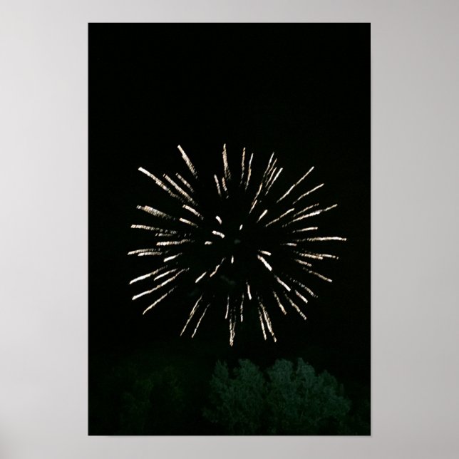 Affiches Fireworks avec arbre (Devant)