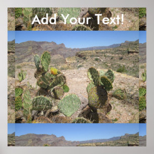Affiches Fish Creek Hill Vista Prickly Cactus