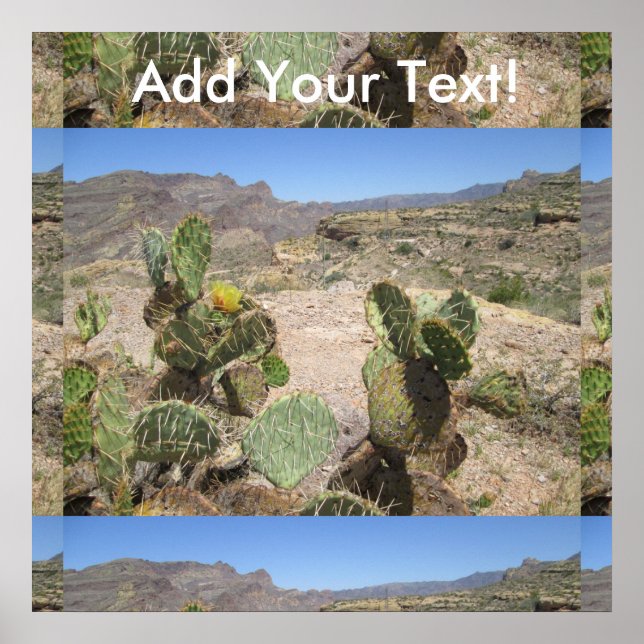 Affiches Fish Creek Hill Vista Prickly Cactus (Devant)