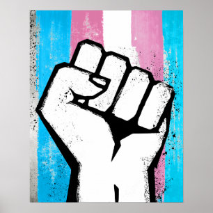 AFFICHES FIST TRANS