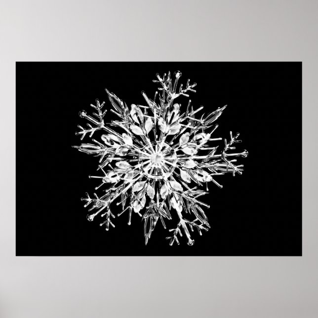 Affiches Flacon de neige en cristal de glace (Devant)