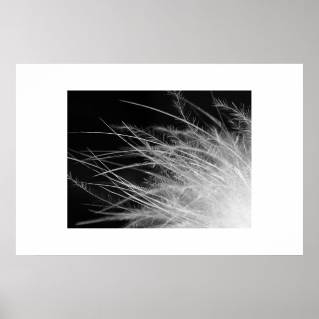 Affiches flamant (Devant)