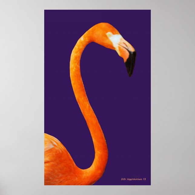 Affiches Flamant rose En Bleu (Devant)