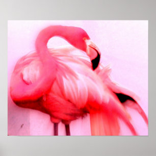 Affiches Flamant rose rose