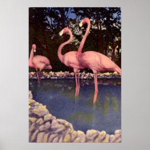 Affiches Flamants roses roses, Floride