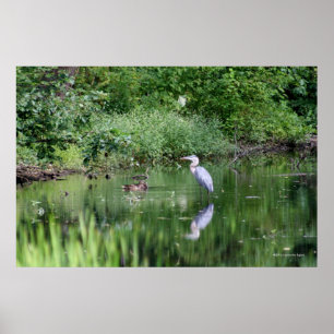 Affiches Flashes de temps par dans une minute - "copie de