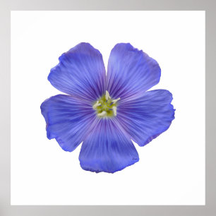 Affiches Flèche bleue n° 1