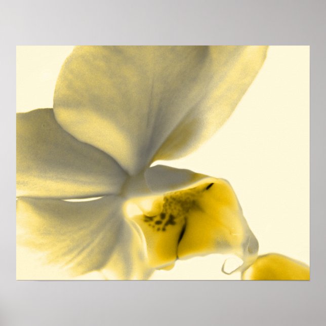 Affiches Fleur artistique dans les tons jaunes (Devant)