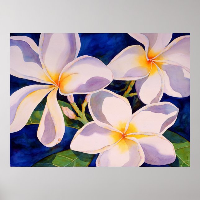 Affiches Fleur complète (Devant)