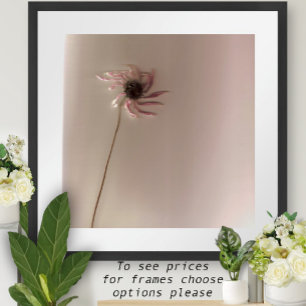Affiches Fleur conique