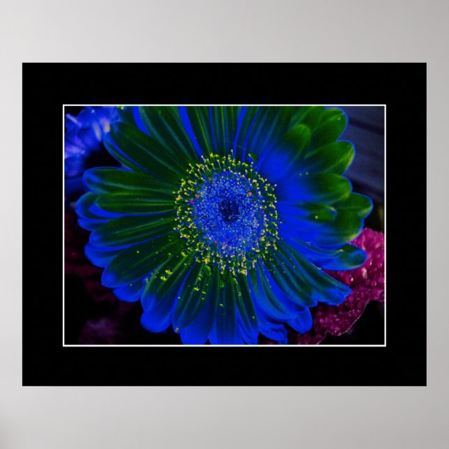 Affiches Fleur Dahlia Bleu Abstrait (Devant)