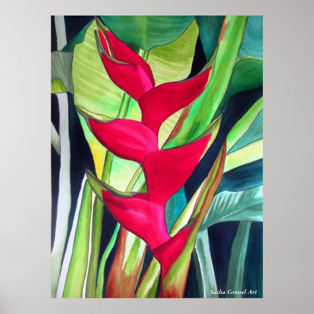 Affiches Fleur d'aquarelle tropicale Heliconia (Devant)