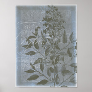 Affiches Fleur de Bleu I