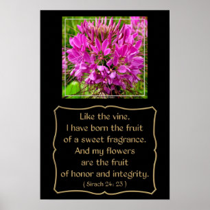 Affiches Fleur de Cleome avec Verse de Bible de Sirach 24:2