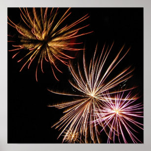 Affiches Fleur de feu