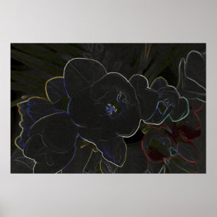 Affiches fleur de la frénésie