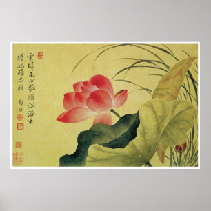 Affiches Fleur de Lotus, YUN Shouping