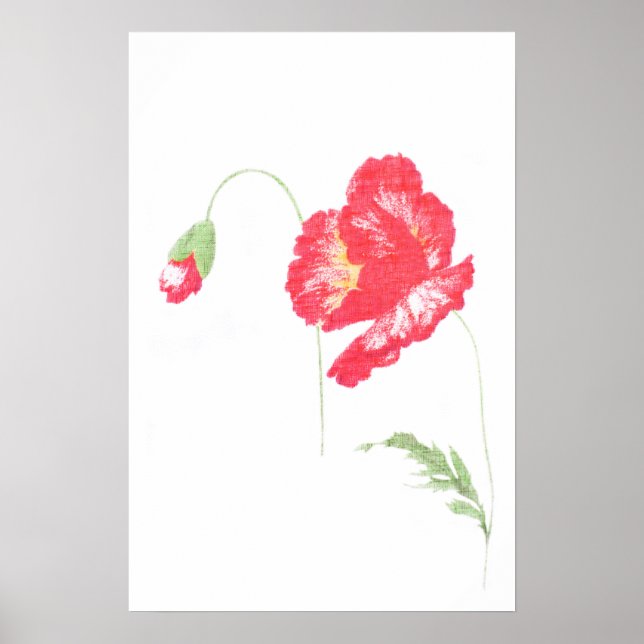 Affiches Fleur de pavot sauvage (Devant)