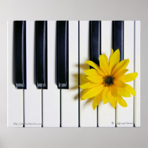 Affiches Fleur de piano