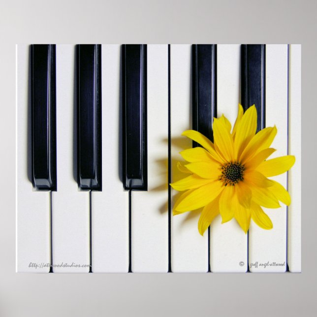Affiches Fleur de piano (Devant)
